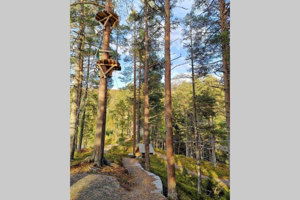 Hytte I Stryn Med Elbil Lader المظهر الخارجي الصورة