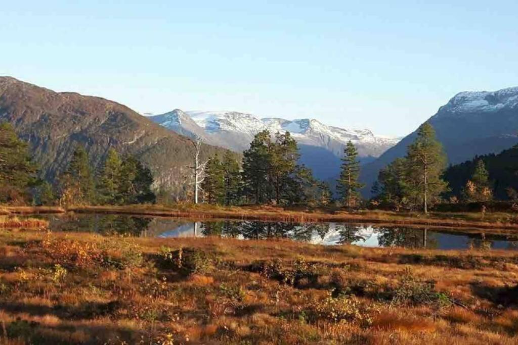 Hytte I Stryn Med Elbil Lader المظهر الخارجي الصورة