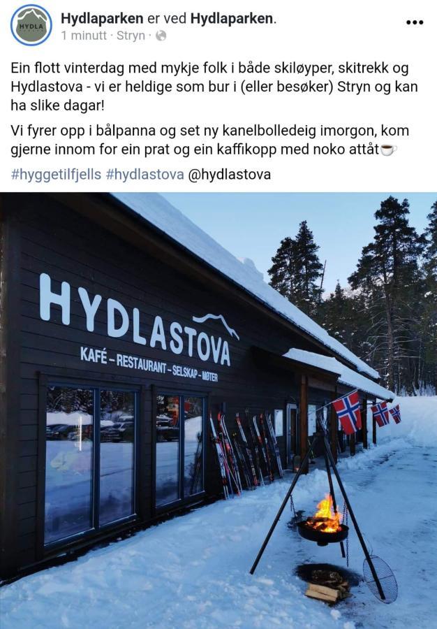 Hytte I Stryn Med Elbil Lader المظهر الخارجي الصورة